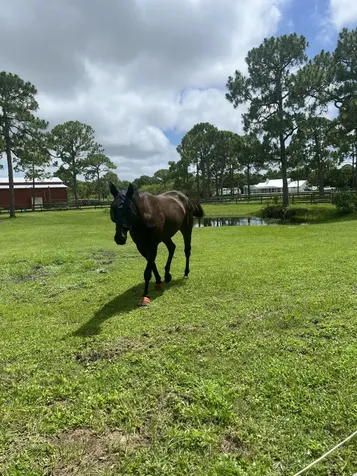 7251 Gullotti Place Port St Lucie FL 34952