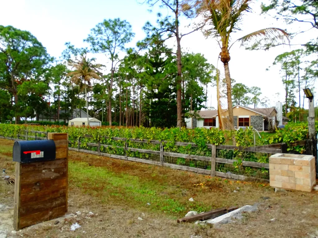 15211 60th Place N Loxahatchee FL 33470