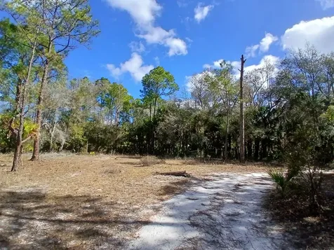 11991 W Flaxen Drive Crystal River FL 34428