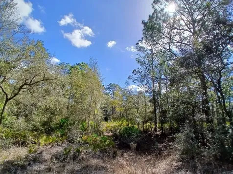 11991 W Flaxen Drive Crystal River FL 34428