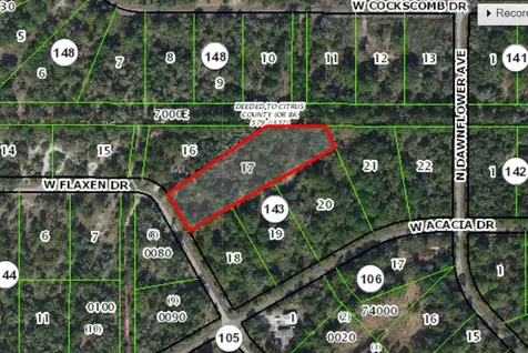 11991 W Flaxen Drive Crystal River FL 34428