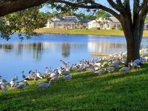6711 Dickinson Terrace Port St Lucie FL 34952