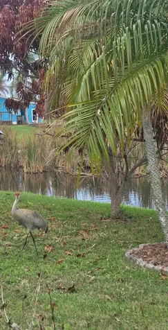 5650 Hemingway Court Fort Pierce FL 34982