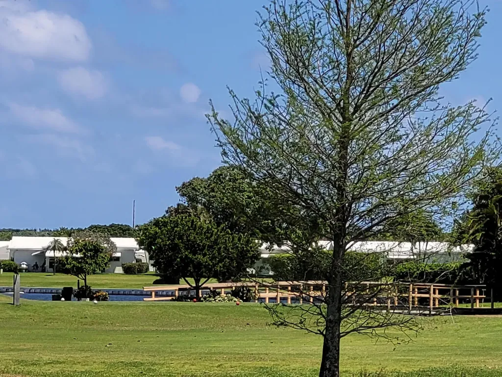 300 SW Golfview Terrace Boynton Beach FL 33426