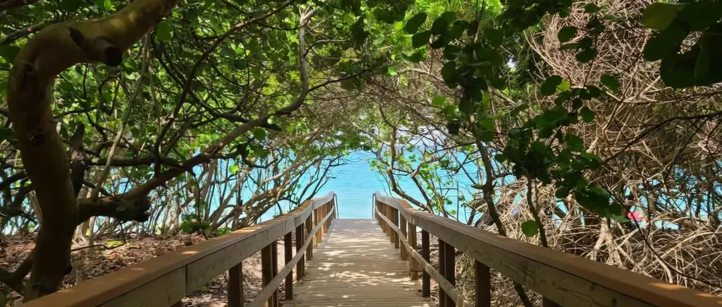 401 Ocean Bluffs Boulevard Jupiter FL 33477