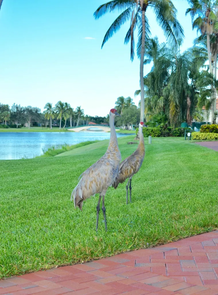 2590 Kittbuck Way West Palm Beach FL 33411