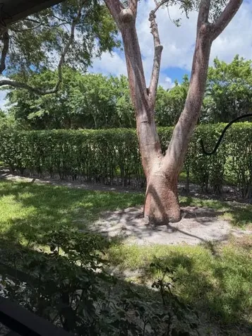 8025 Whispering Palm Drive Boca Raton FL 33496