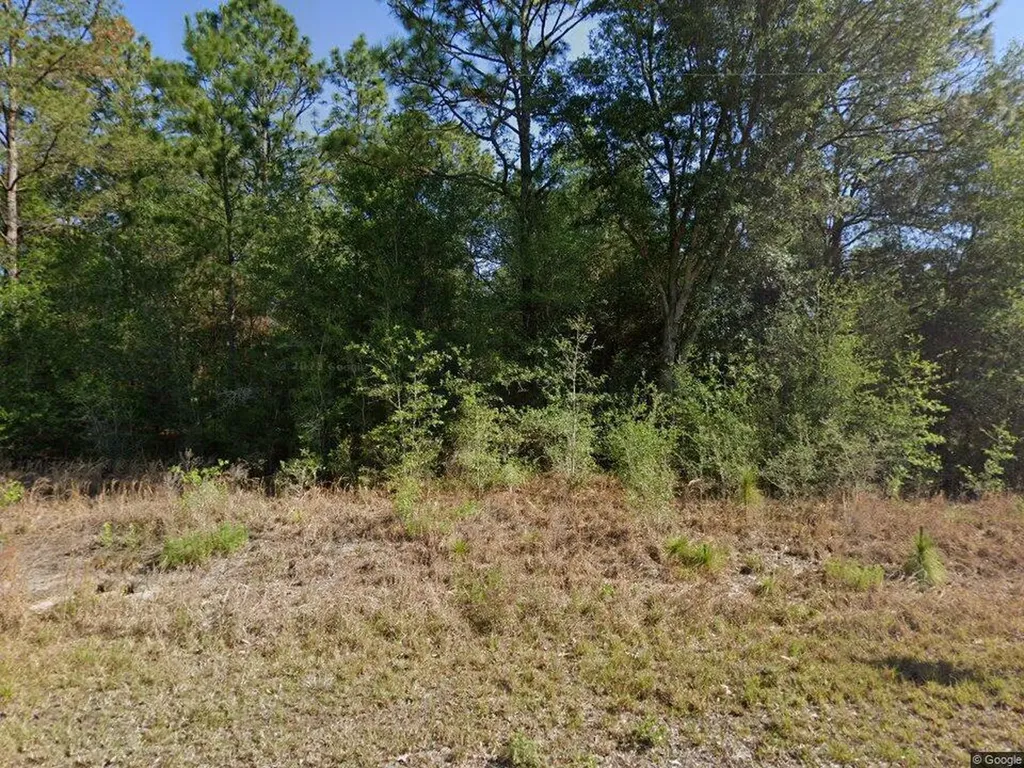 20313 SW Audubon Avenue Dunnellon FL 34431