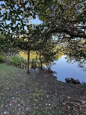136 Monterey Bay Drive Boynton Beach FL 33426