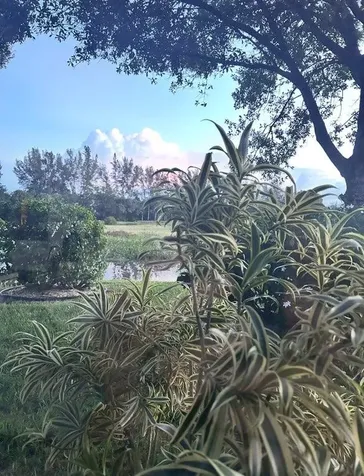 9151 Caserta Street Lake Worth FL 33467