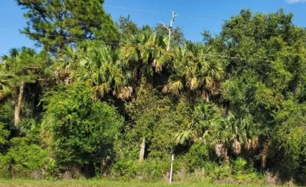 3822 Highway 98 N Okeechobee FL 34972