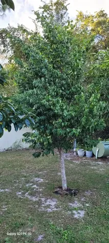 4026 SW Haycroft Street Port St Lucie FL 34953