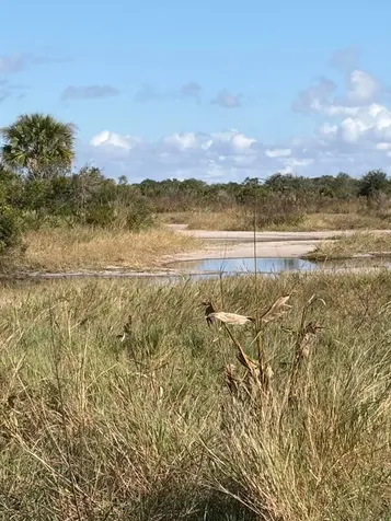 0 NW 308th Street Okeechobee FL 34972