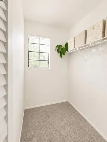 540 Sheridan Drive Palm Harbor FL 34684