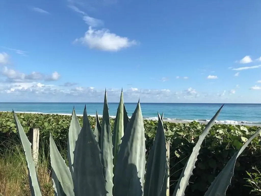 1420 Ocean Way Jupiter FL 33477