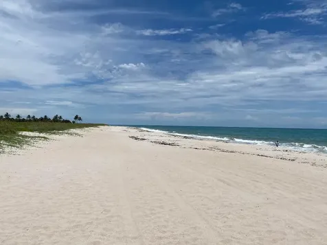 956 Tulip Lane Vero Beach FL 32963