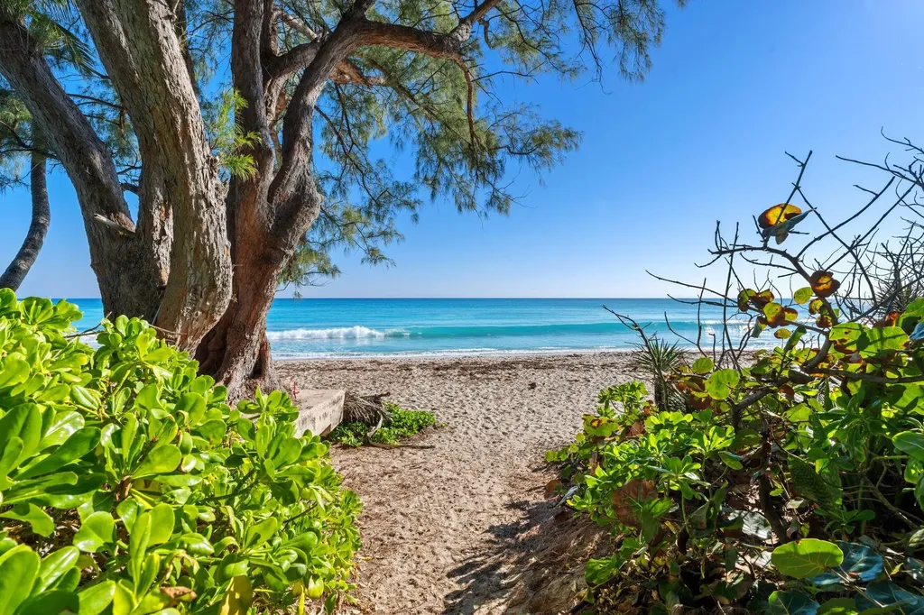 224 Sandpiper Drive Palm Beach FL 33480