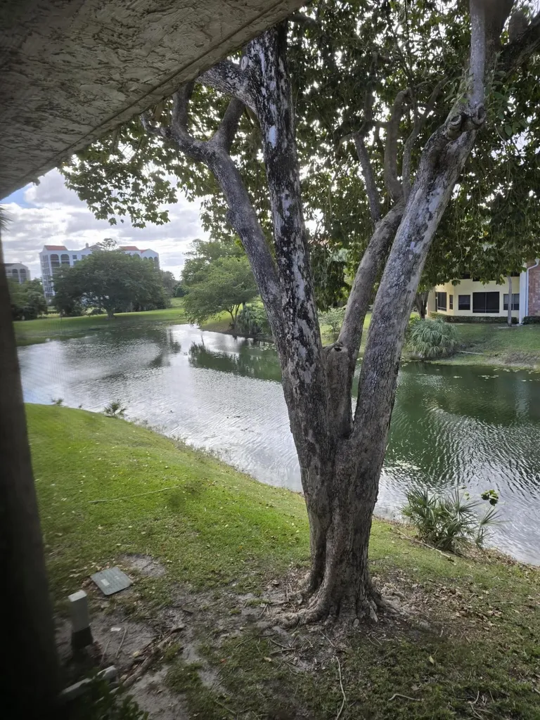 7484 La Paz Boulevard Boca Raton FL 33433