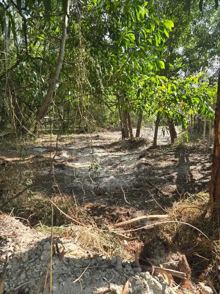 17534 42nd Road N The Acreage FL 33470