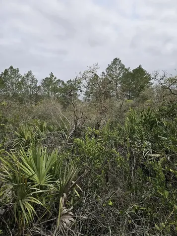 35485 NE 7th Drive Okeechobee FL 34972