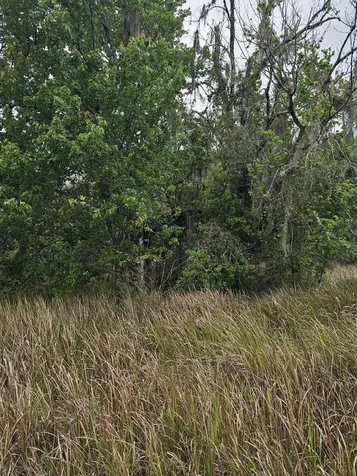 35485 NE 7th Drive Okeechobee FL 34972