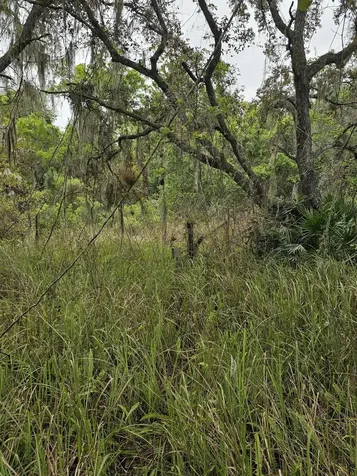 35485 NE 7th Drive Okeechobee FL 34972