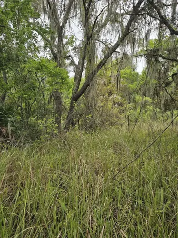 35485 NE 7th Drive Okeechobee FL 34972