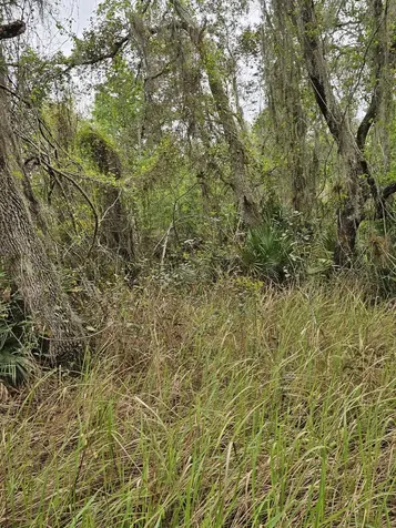 35485 NE 7th Drive Okeechobee FL 34972