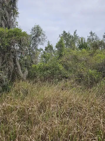 35485 NE 7th Drive Okeechobee FL 34972