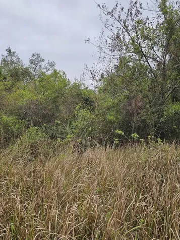 35485 NE 7th Drive Okeechobee FL 34972