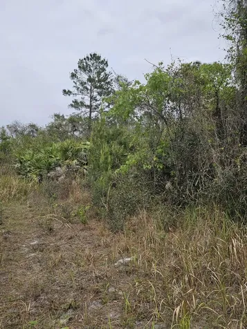 35485 NE 7th Drive Okeechobee FL 34972