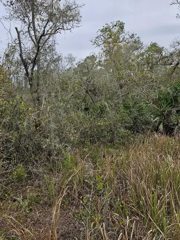 35485 NE 7th Drive Okeechobee FL 34972