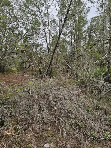 35485 NE 7th Drive Okeechobee FL 34972