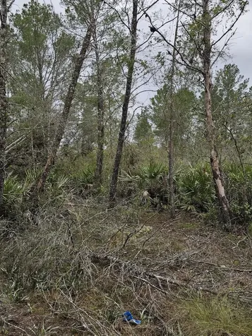 35485 NE 7th Drive Okeechobee FL 34972