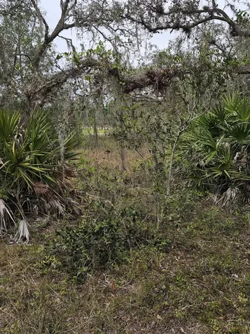 35485 NE 7th Drive Okeechobee FL 34972