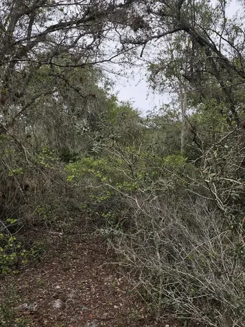 35485 NE 7th Drive Okeechobee FL 34972