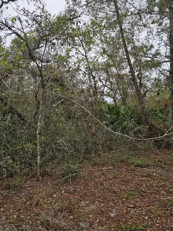 35485 NE 7th Drive Okeechobee FL 34972