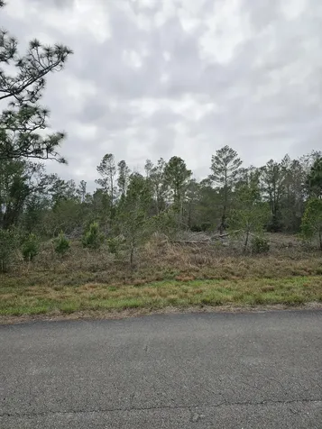 35485 NE 7th Drive Okeechobee FL 34972