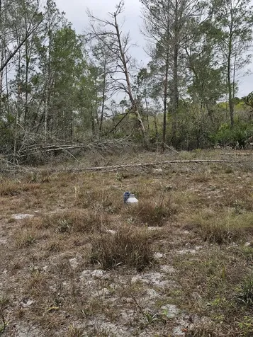 35485 NE 7th Drive Okeechobee FL 34972