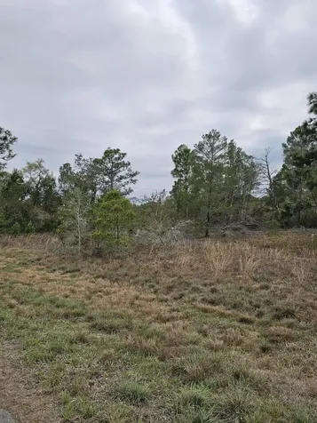 35485 NE 7th Drive Okeechobee FL 34972