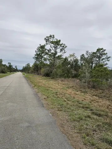 35485 NE 7th Drive Okeechobee FL 34972