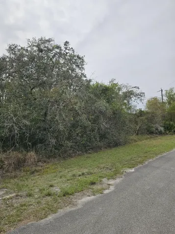 35485 NE 7th Drive Okeechobee FL 34972