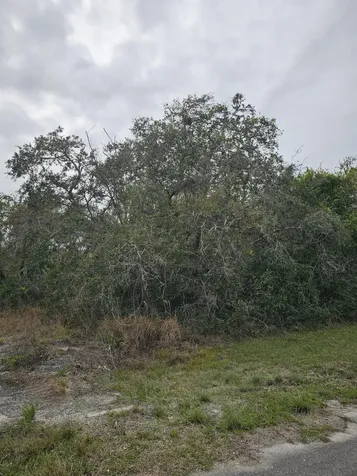 35485 NE 7th Drive Okeechobee FL 34972