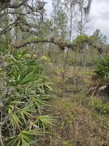 35485 NE 7th Drive Okeechobee FL 34972