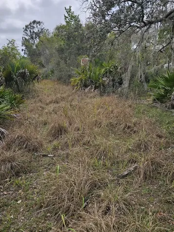 35485 NE 7th Drive Okeechobee FL 34972