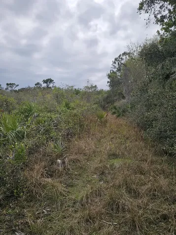 35485 NE 7th Drive Okeechobee FL 34972