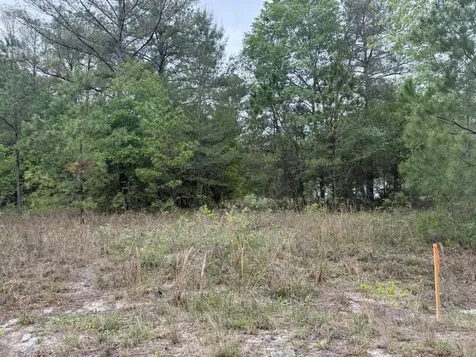 Tbd Maltas Avenue Interlachen FL 32148