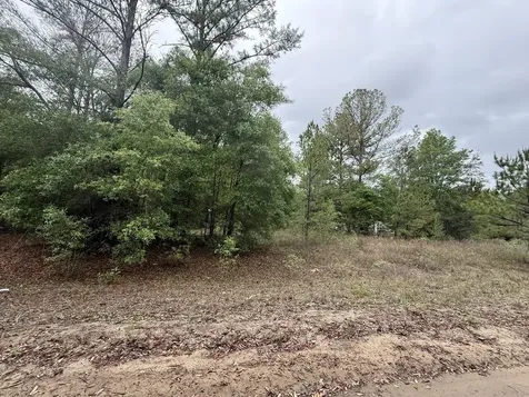 Tbd Maltas Avenue Interlachen FL 32148