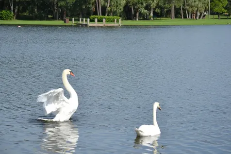 490 Hardwood Place Boca Raton FL 33431