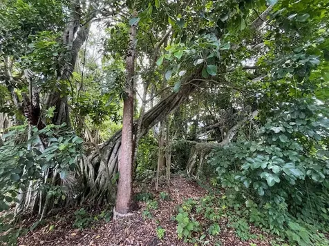 9538 171st Street N Jupiter FL 33478